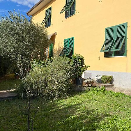 Le Siepi Apartment Reggello Bagian luar foto