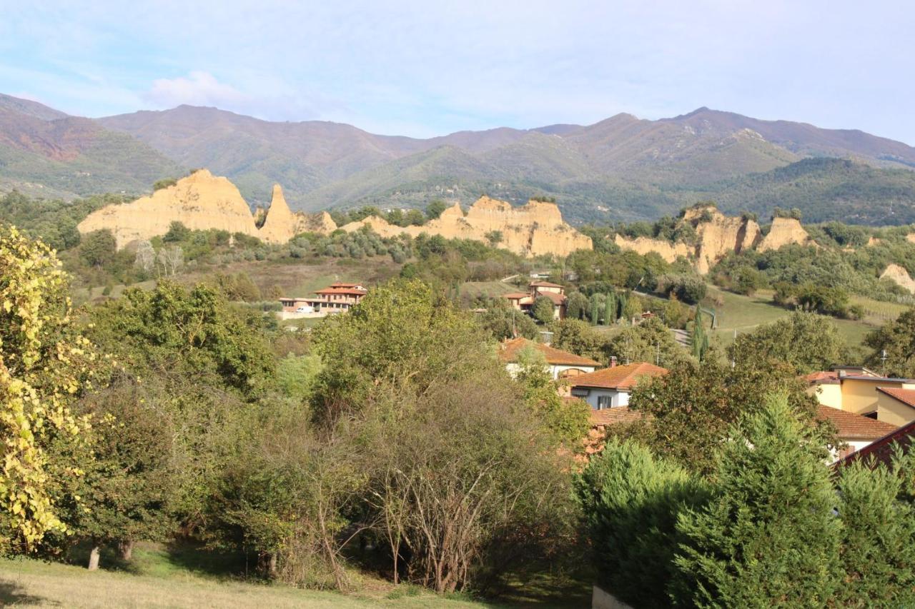 Le Siepi Apartment Reggello Bagian luar foto